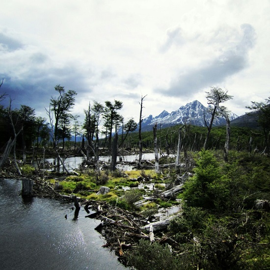 trilha-ushuaia-amanda-noventa