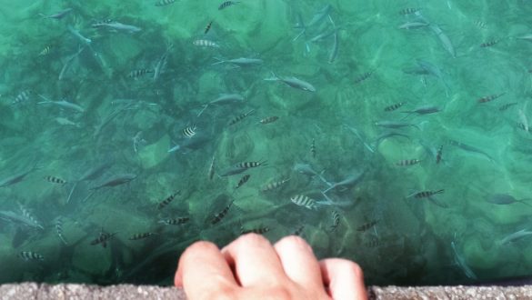 Mirante para contemplar peixinhos nas águas cristalinas em praia de Seychelles.