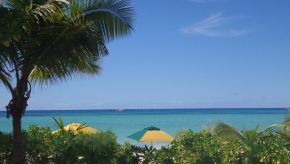 Foto de praia em Seychelles, com vegetação verde revelando guarda-sóis e o mar cristalino ao fundo.