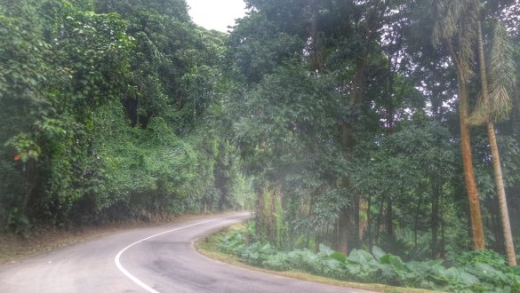 Estrada cercada de verde no interior de Mahé, a maior ilha de Seychelles.