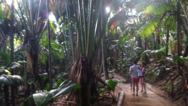 Parque Valle de Mai, na ilha de Praslim, em Seychelles.