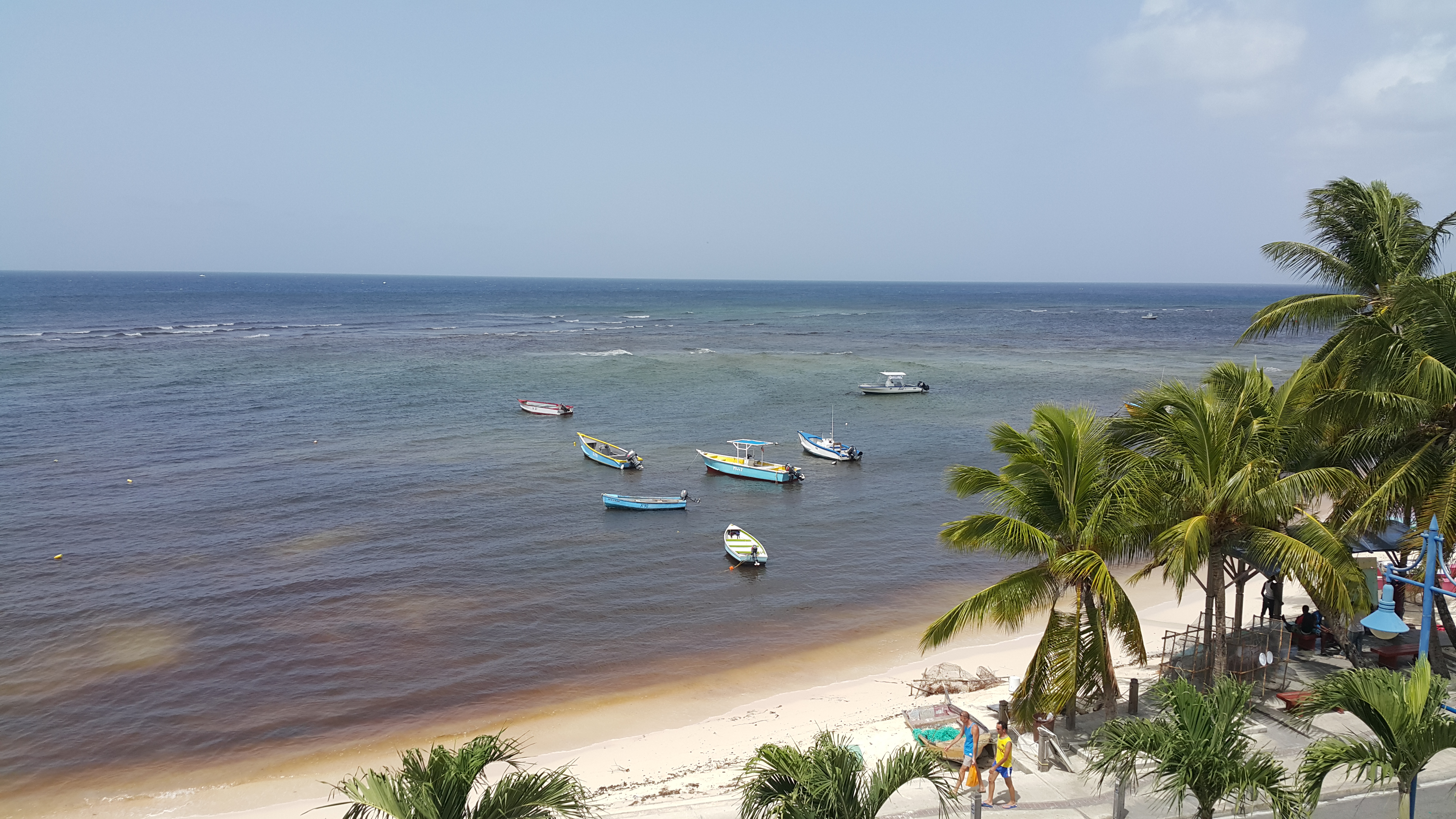 sargaco-barbados-amanda-viaja