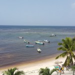 Sargaço em Barbados, no Caribe