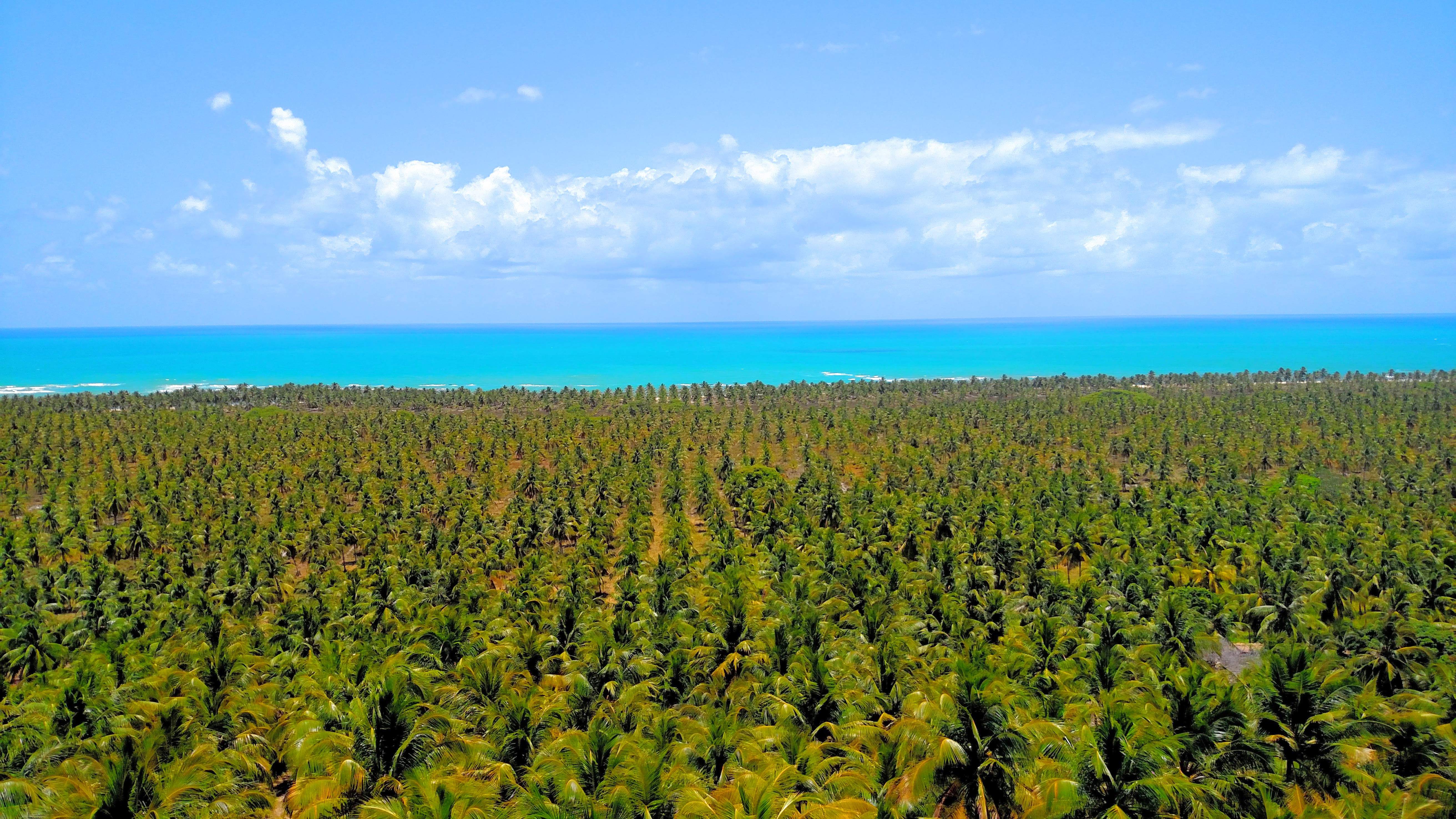 roteiro maceió 3 dias 