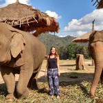 Como interagir com elefantes de maneira ética