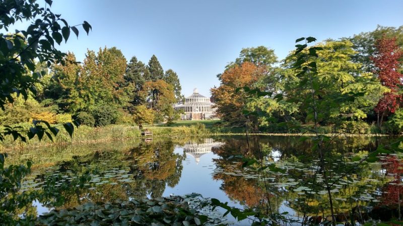 Lago cercado por árvores, com estufa ao fundo, no Jardim Botânico de Copenhagen, Dinamarca.