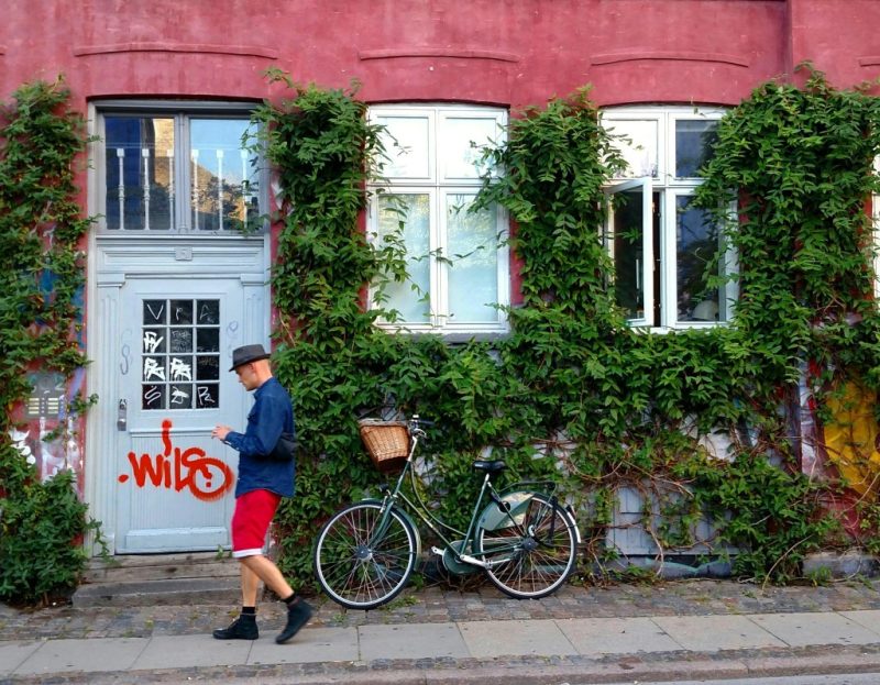 Fachada de casa no bairro Nørrebro, em Copenhagen, na Dinamarca, com planta rasteira verde contornando as janelas.