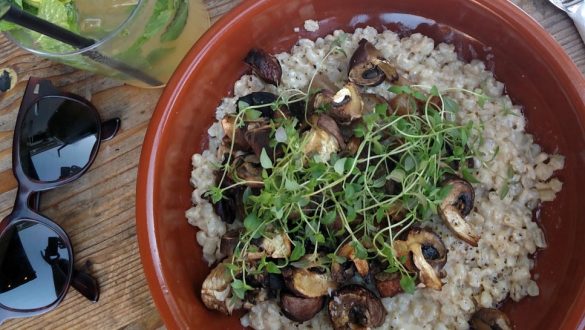 Prato de arroz com cogumelos e salada orgânica, do restaurante Plenum, em Copenhaga, Dinamarca.