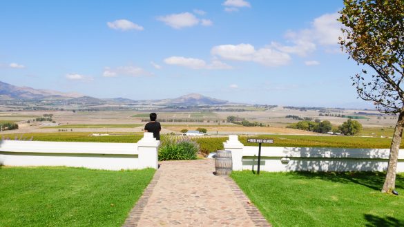 Jardim em vinícola próximo de Cape Town, com vista para os vinhedos.