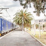 Blue Train: como é viajar de trem pela África do Sul