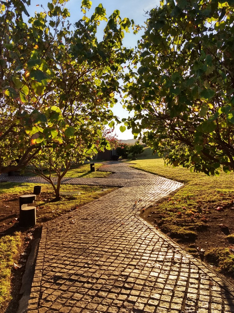 O sol nasce assim pelos caminhos do hotel