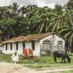 O que fazer na Ilha de Marajó no Pará