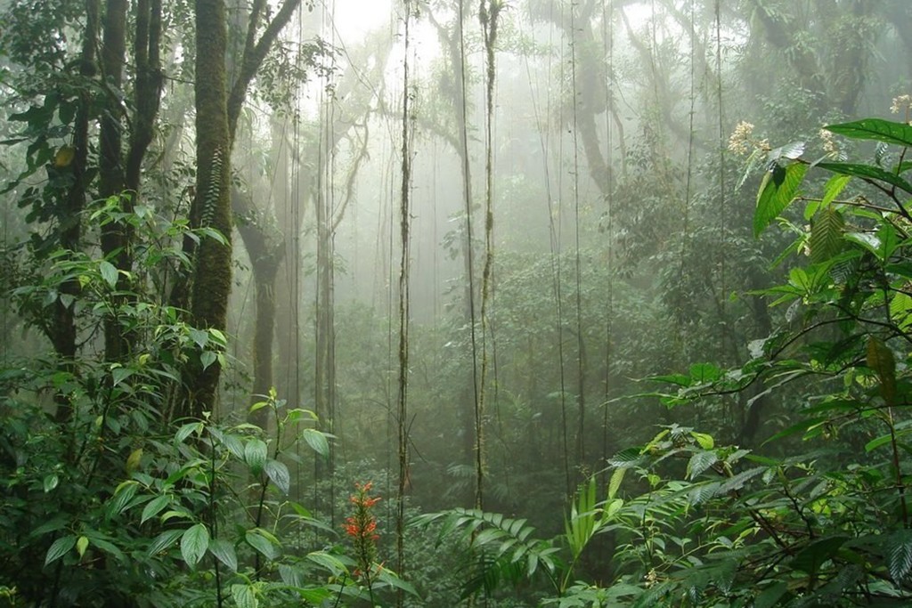 monteverde costa rica