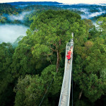 O que fazer em Monteverde na Costa Rica