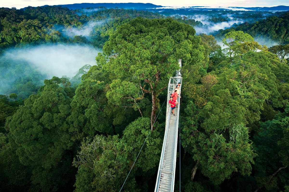 caesar tour monteverde