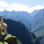 6 erros que cometi na minha viagem a Machu Picchu