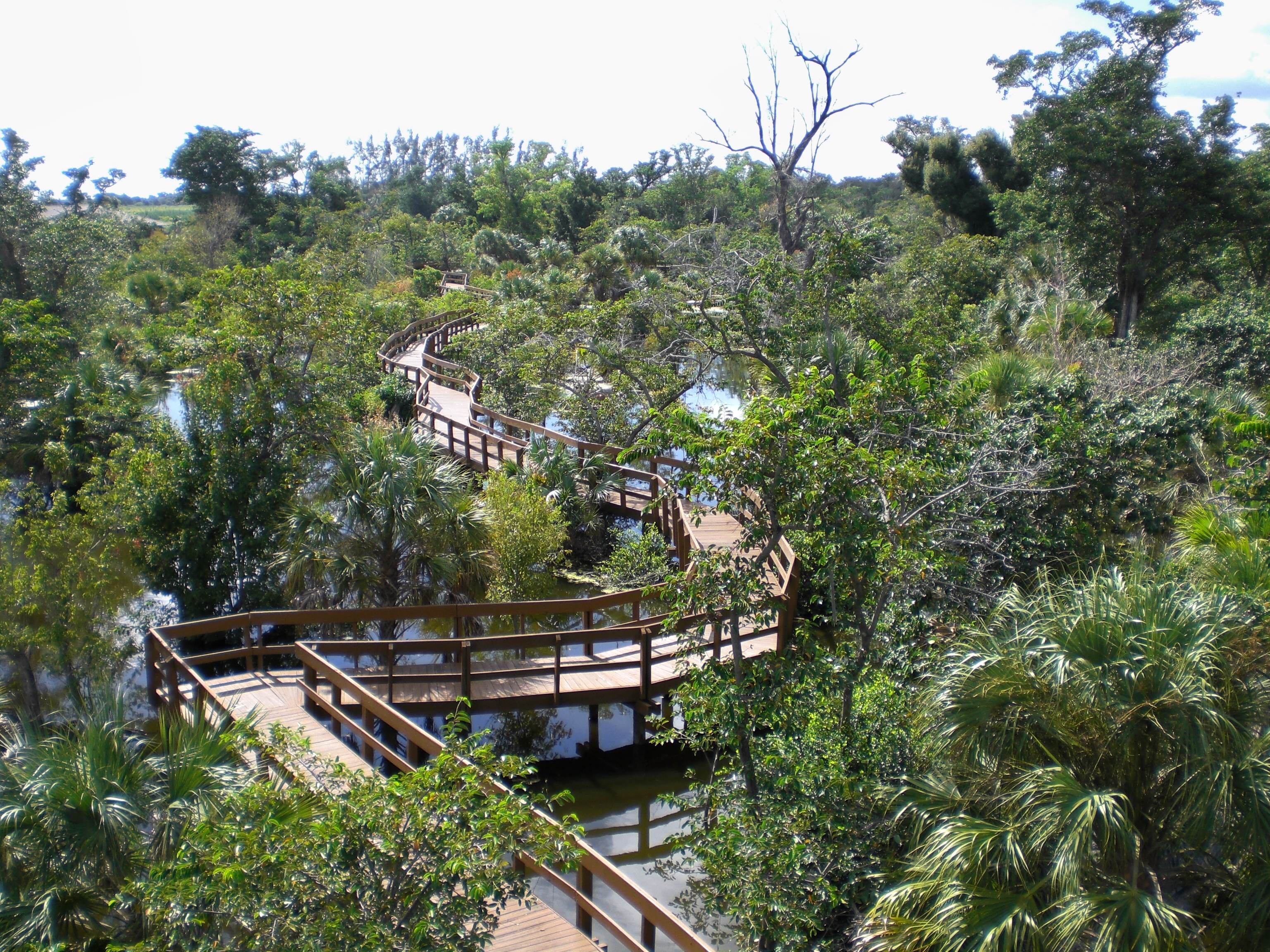 Lugares para visitar com crianças em Palm Beach