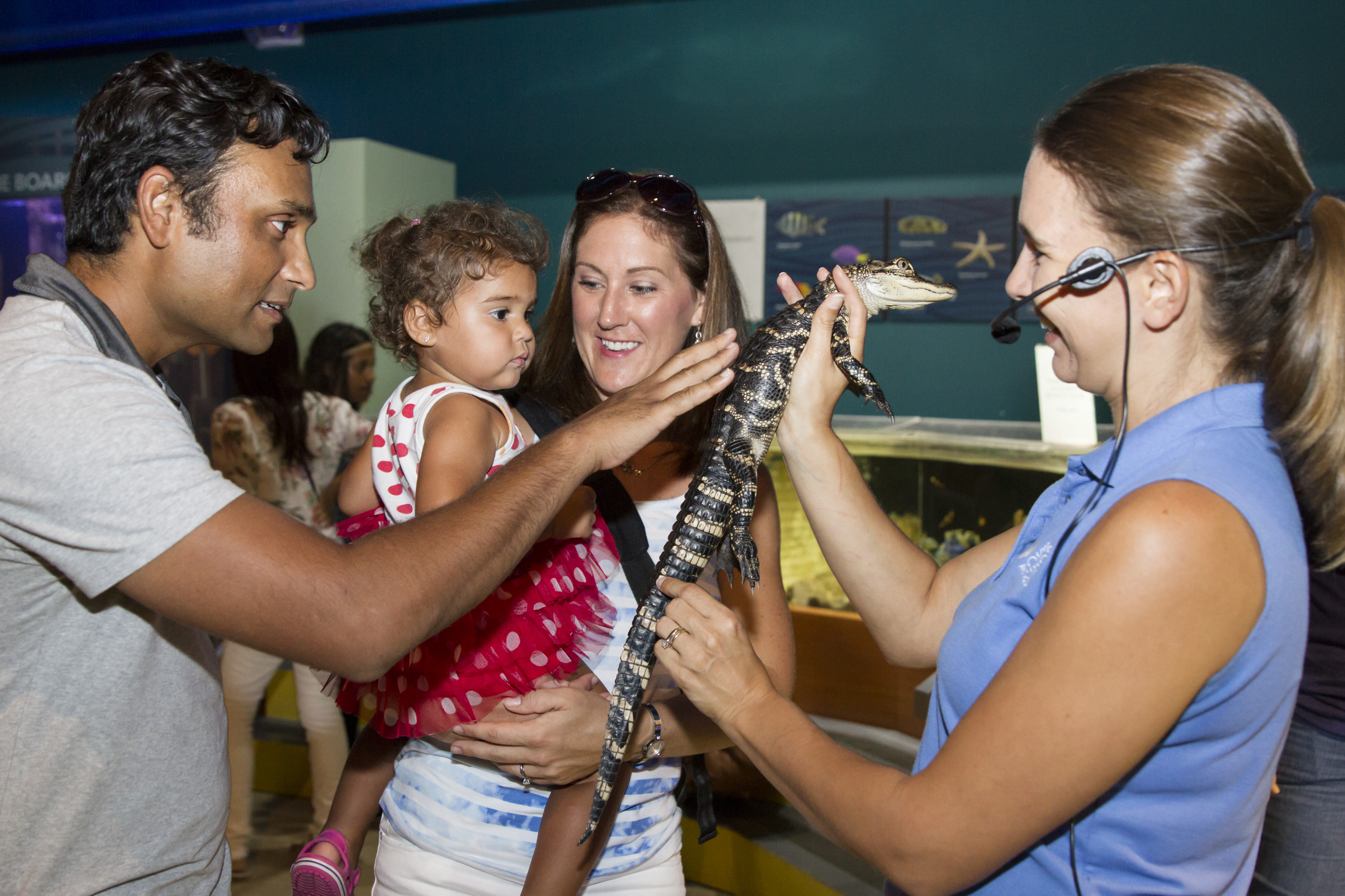 Lugares para visitar com crianças na Flórida